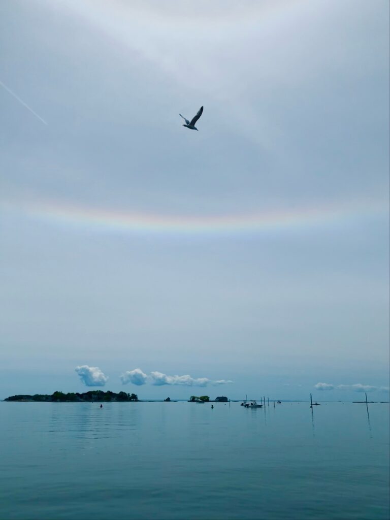 Views from the Volsunga IV